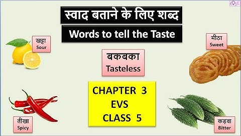 Class 5 EVS Chapter 3 | स्वाद बताने के लिए शब्द | Words to tell the taste |Taste | Rose Tree |