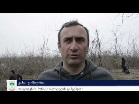 „დაალაგე შენი ქუჩა - დაიცავი გარემო!“