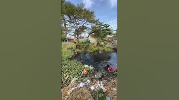 Hơn 70 tình nguyện viên đã dọn dẹp con kênh này #saigonxanh #cleaning #moitruong #donrac #shorts