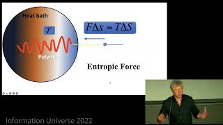 Erik Verlinde "Emergence of Gravity from Quantum Information: a Progress Report"