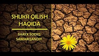 Shukr qilish haqida (Shayx Sodiq Samarqandiy)