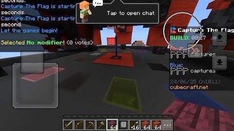 Capture The Flag But I Carry The Whole Team