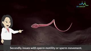 Wait no further! With a simple test (semen analysis) you can understand your sperm health!