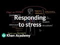 Responding to stress | Processing the Environment | MCAT | Khan Academy