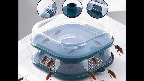 Cockroach Trap Efficient Roach Cockroach Catcher Box