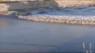 Japan earthquake: small tsunami strikes Fukushima coastline after 7.4 magnitude quake