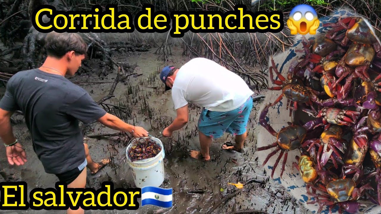 Asi Sacamos Los Punches Los Salvadoreños EL SALVADOR YouTube