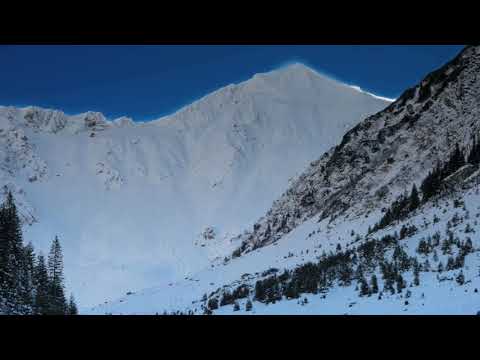 Video: Tipps zum Teilen von Shasta-Gänseblümchen-Pflanzen - Wann und wie man Shasta-Gänseblümchen teilt