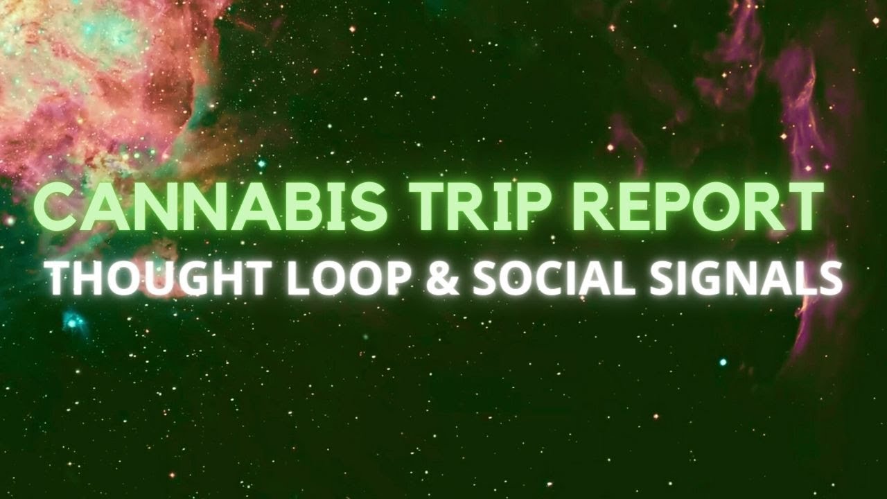 Cannabis Trip Report #1 - Thought Loop & Social Signals (Bad Experience)