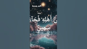 Surah Adh-Dhariyat 51:24-28 #surahadhdhariyat #quran #islam #islamic #islamicvideo #quranrecitation
