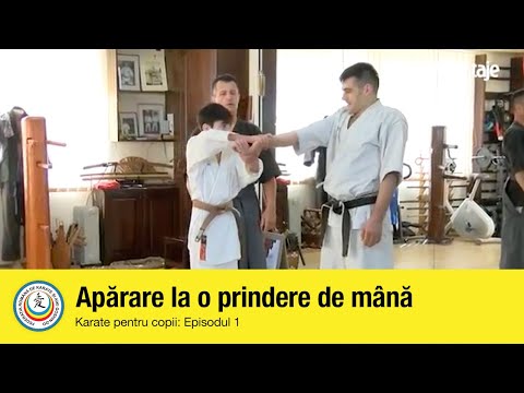 Video: Cum Să înveți Karate