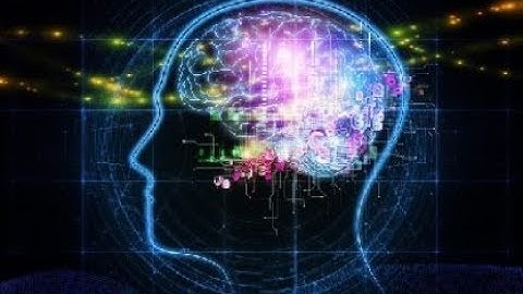 Introduction to Philosophy - Lecture 15 - Smart