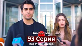 Зимородок 93 Cерия (Короткий Эпизод) (Русский Дубляж)