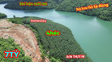 Bán 4 héc đất vườn Cao Su Bám Mặt Hồ Tuyệt Đẹp ở Hạ Lưu Tà Đùng,giá 7 tỷ | Nhà Đất Đăk Nông