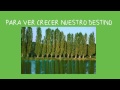 LA IMPORTANCIA DE PLANTAR UN ÃRBOL!!