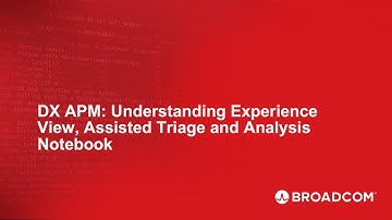 DX APM: Understanding Experience View, Assisted Triage and Analysis Notebook (SPANISH)