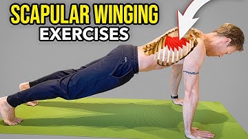 3 Exercises for Scapular Winging (Serratus Anterior Muscle Strengthening)