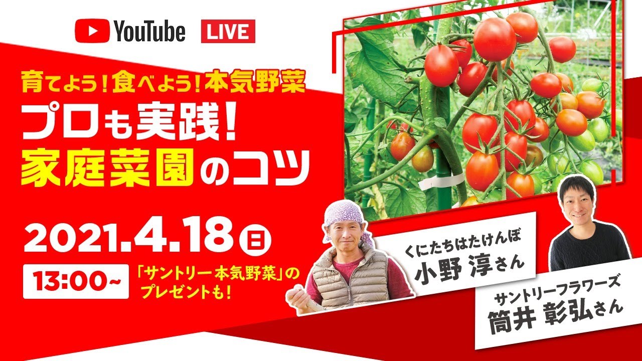 育てよう 食べよう サントリー本気野菜 プロも実践 家庭菜園のコツ 第1弾 Youtube