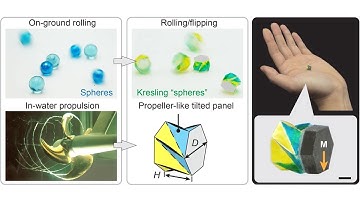 Wireless amphibious origami millirobot in pig stomach