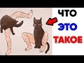 Лютые приколы.ЧТО ЭТО ТАКОЕ ? . Приколы