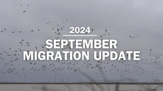 September Migration Update 2024