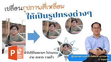 Crop Photo เปลี่ยนรูปภาพสี่เหลี่ยม ให้เป็นรูปทรงต่างๆ ใน Ms PowerPoint ใหม่ล่าสุด