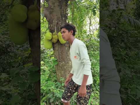 কি এটা । ফানি ভিডিও। SRN tv ।