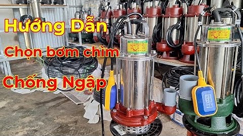 Cách Chọn Máy Bơm Chìm Chống Ngập : bơm chìm hút chất thải