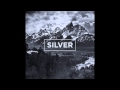 The neighbourhood  silver