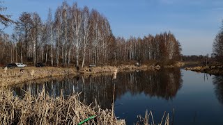 видео: В місті Народа менше чим на річці.На Поліссі здурів карась картинка: В місті Народа менше чим на річці.На Поліссі здурів карась