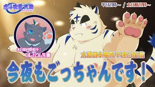今夜もごっちゃんです！太助の本場所中連日配信【十一月場所七日目】