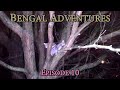 Bengal Adventures - Episode 10 - New Years Eve With The Bengal Family