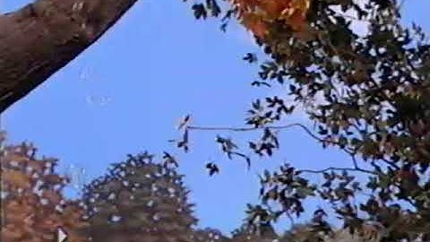 Once Upon A Time (1997 Version) Part 68