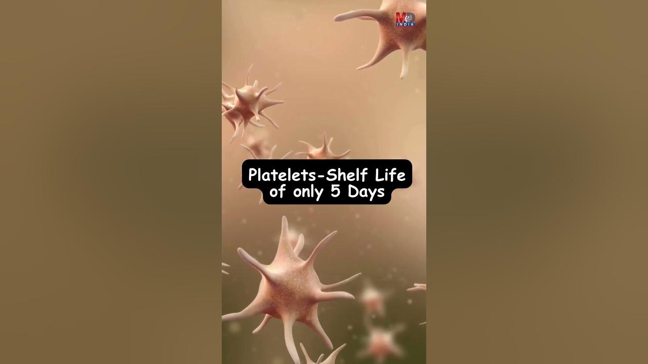 blood-storage-discover-how-long-blood-can-be-stored-youtube