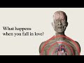 What Happens To Your Brain When You Fall In Love