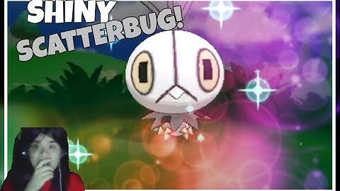 AMAZING FULL ODDS SHINY SCATTERBUG! (PokeRadar Chain of 0) | Shiny Hunting 60 | Pokemon XY