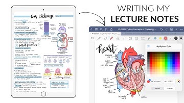 Writing My Digital Lecture Notes! (studycollab with me)