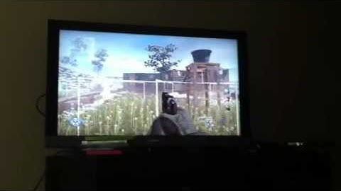 10 mode mod review ! Rapidmodz.com