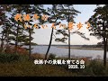 我孫子のいろいろ八景歩き