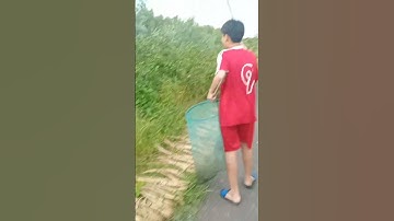 câu ếch không dùng lưỡi ở miền tây.