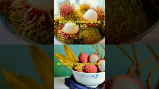 RAMBUTAN vs LYCHEE AND IT'S DIFFERENCE #shorts #lychee #rambutan