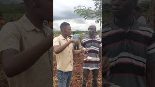 how to prepare a farm for 100bean varietie and 30 maize varieties