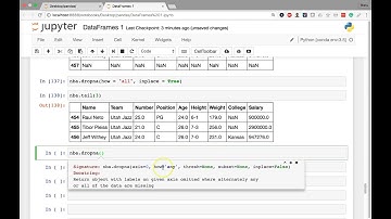[9] DataFrames I - Drop Rows with Null Values
