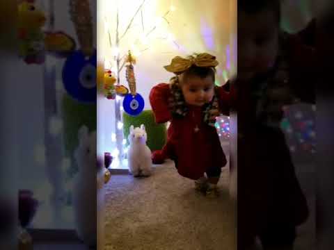 How to dance Persian when your a baby and mom is Iranian and dad Afghani...