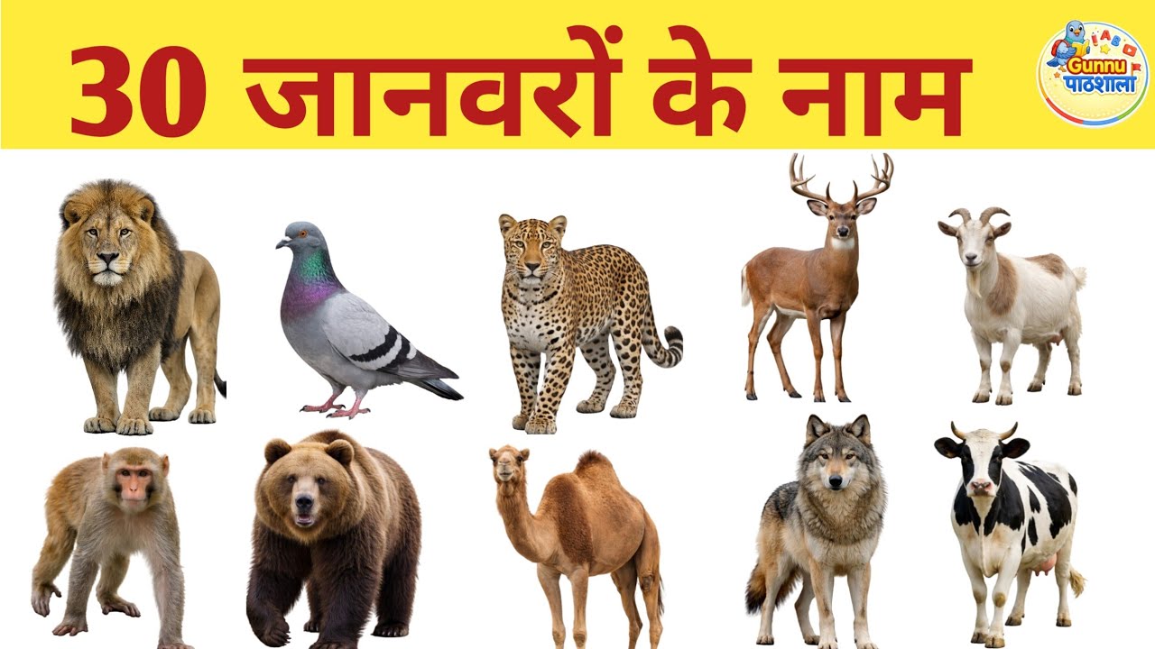 30 Animals ke name | Kids learning videos | english me  | gunnu pathsala 