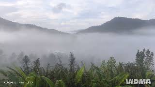 Suluku Martin  Dj Xavier Feat Shirley muzik muzikmania 