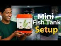 I Set Up a Small Fish Tank Using Basic Items Only! 🐠🔥#FishTankSetup #AquariumSetup#PetPouch