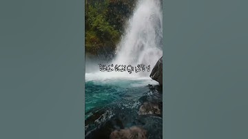 واتس اب قران كريم القارئ ياسر دوسري (سوره ال عمران)