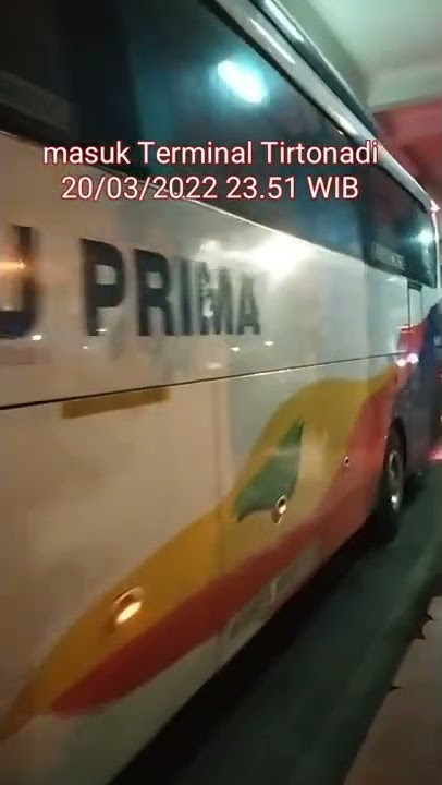 PO Laju Prima 20/03/2022 23.51 WIB #Tirtonadi #lajuprima