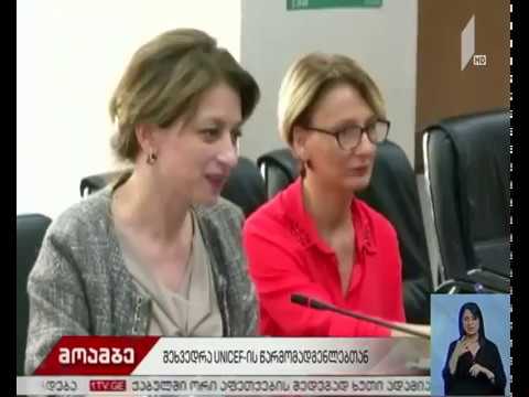 ჯანდაცვის მინისტრი გაერო-ს ბავშვთა ფონდის ხელმძღვანელს შეხვდა